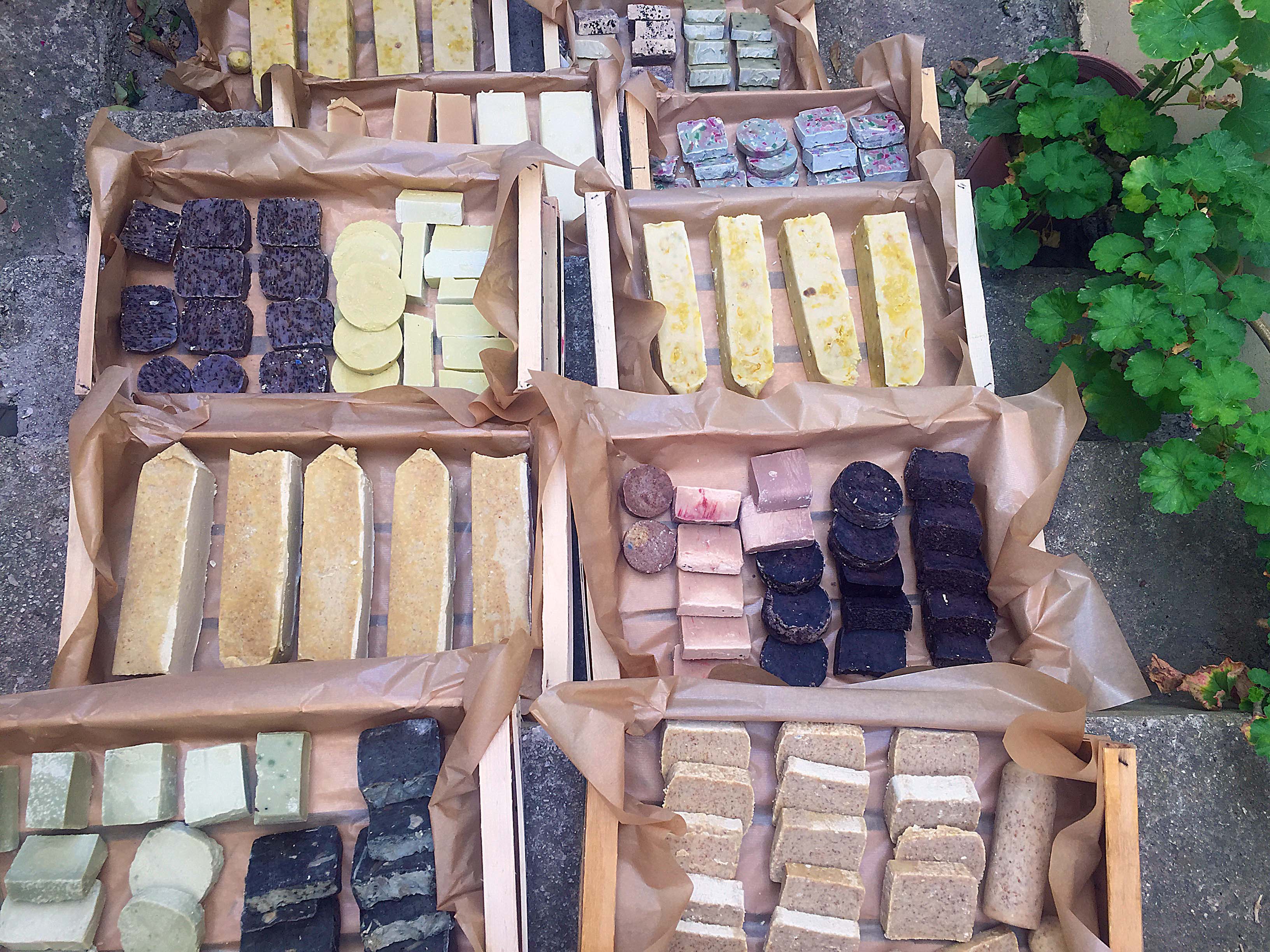 Traditional Food tour & Olive oil tasting in Kalamata