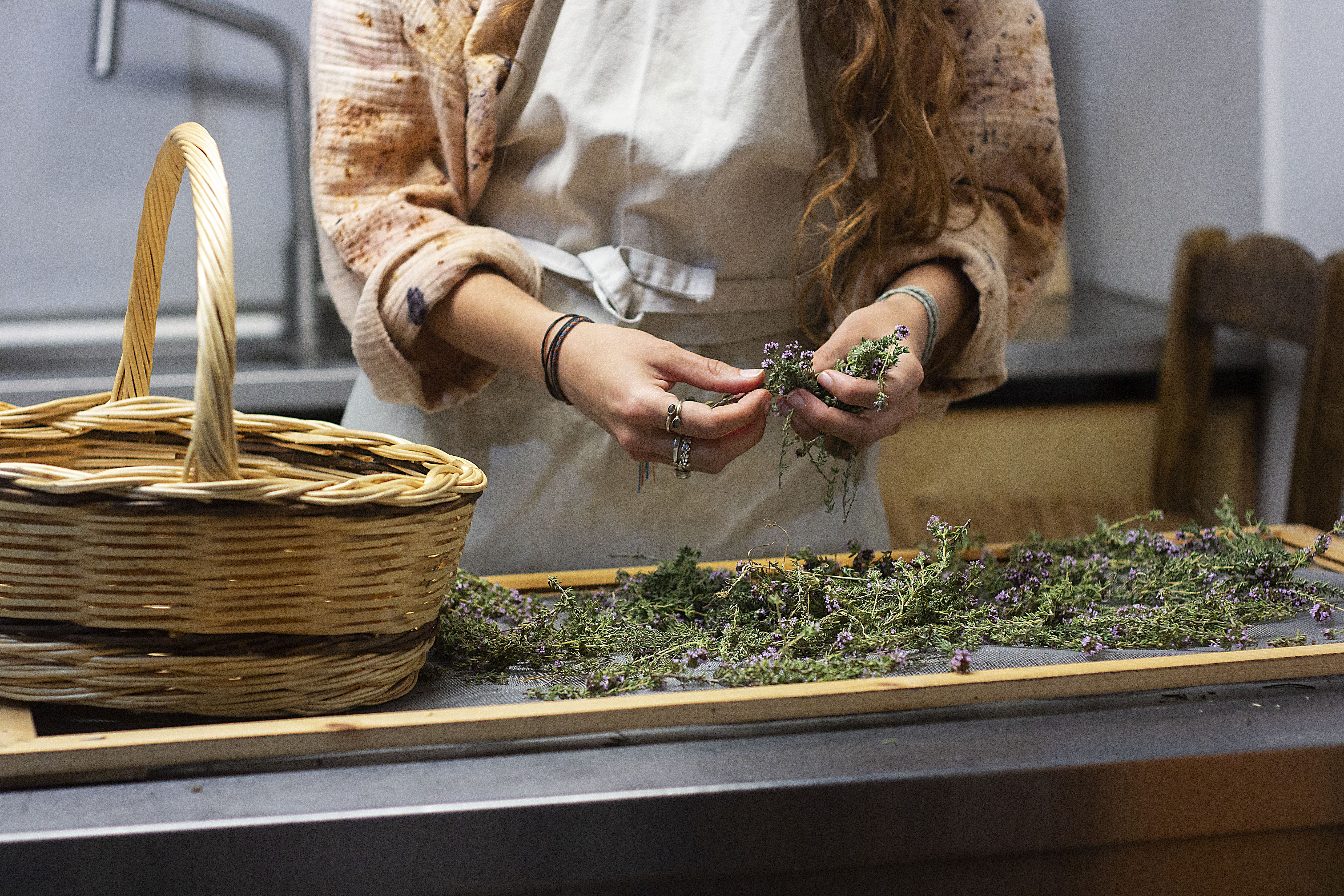 Traditional Food tour & Olive oil tasting in Kalamata